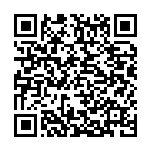 崔理想：取长补短推动民营经济“豫军突起”