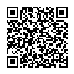 王珺琪：区域战略叠加视域下高质量共建“一带一路”节点城市的创新路径与协同实践