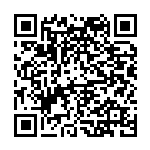 主动融入“双循环”新发展格局