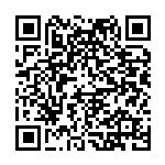 董琳：统筹发展、开拓创新，走出乡村振兴幸福之路