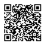 叶亚平：言“治”有理⑩丨推进数治智治 提升基层治理效能