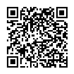 张相阁：着力发展养老金融的四大突破口