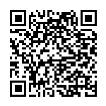 李太淼：坚决纠治形式主义官僚主义