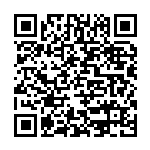 陈萍：把握新特点 促进高水平开放