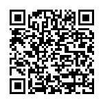 浅析跨国公司在中国的战略调整现象