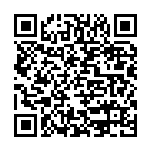 齐爽：建设高标准自贸区 提升开放质量水平