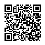 HTC Lyžica (drevená) 16cm `XL` [100 ks] QR Code